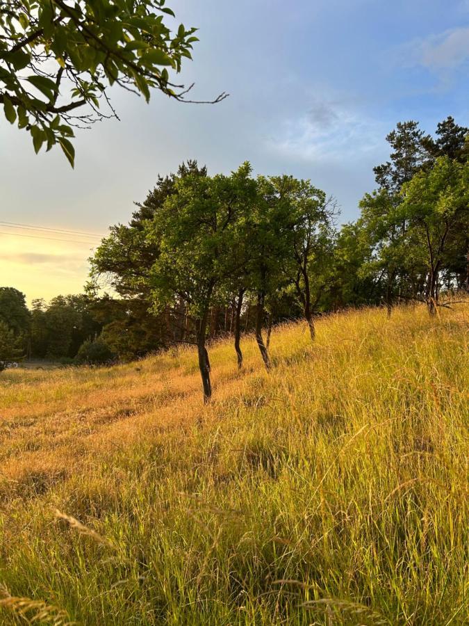 Swiety Spokoj Bielinek Cedynia Dış mekan fotoğraf