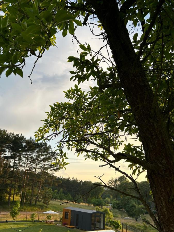 Swiety Spokoj Bielinek Cedynia Dış mekan fotoğraf